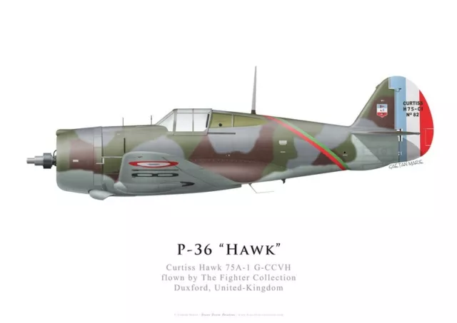 Print Hawk 75A-1, G-CCVH, The Fighter Collection (by G. Marie)