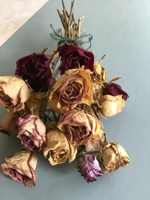 Dried Roses Pink Cream 21 stems (Wedding, birthdays, house decor)