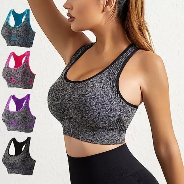 ZONE PRO SEAMLESS Sports Bra Active Yoga Wear Support Shaping HOT PINK  #WC13 $9.99 - PicClick