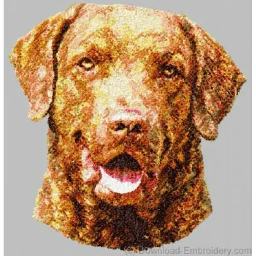 Embroidered Short-Sleeved T-Shirt - Chesapeake Bay Retriever DLE1507
