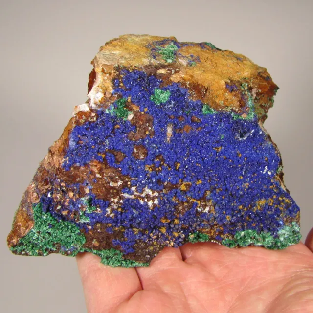 4.2" Blue AZURITE & MALACHITE Crystals on Matrix Rock - Morocco