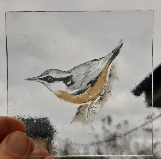 STAINED GLASS Nuthatch bird piece Kiln fired permanent 10 cm x 10 cm