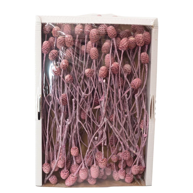 Ramas Sabulosum - 3 cabezas - 50 piezas - frost-erika