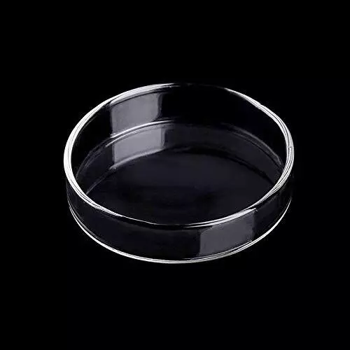WEAVERBIRD 80mm Aquarium Shrimp Feeder Dish Glass Fish Tank Feeding Bowls Rou...