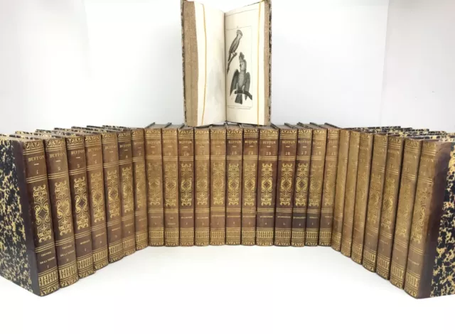 OEUVRES COMPLETES DE BUFFON 1828-1829 Lacépède 245 GRAVURES 27 volumes