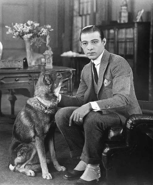 Rudolph Valentino silent film star with his dog 1920 Old Photo