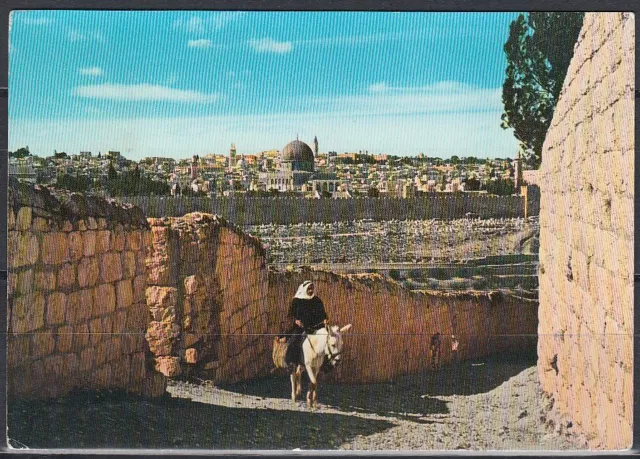 Jordanien Jordan used Post Card Postkarte Landschaft landscape Jerusalem [cm546]