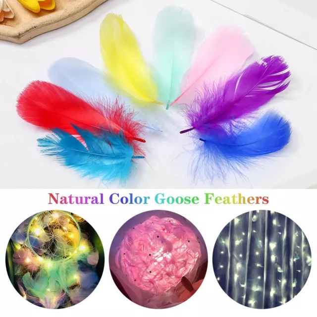 Ornaments Costume Decoration Colorful Feather Home Decoration Goose Feathers