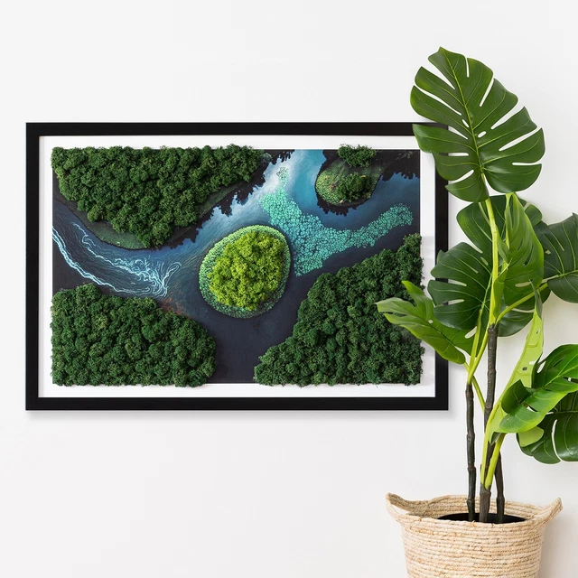 Immagine Muschio Foresta Muschio Cornice MDF nero 60x40 cm- Isola in