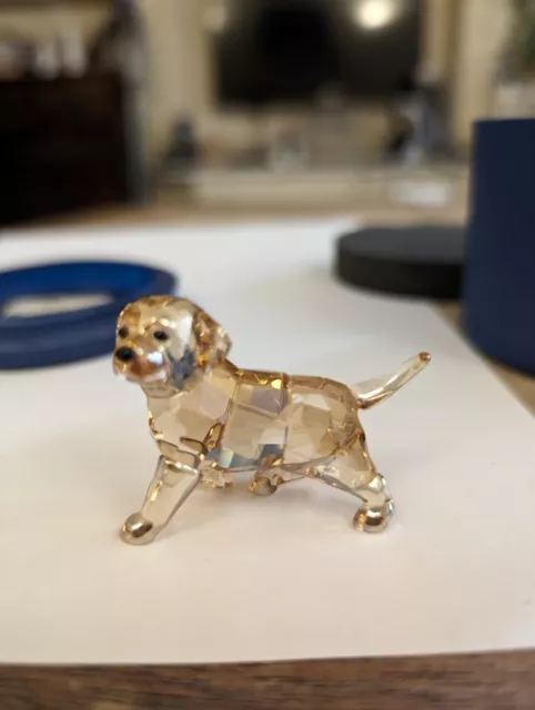 Swarovski Golden Retriever In Original Box