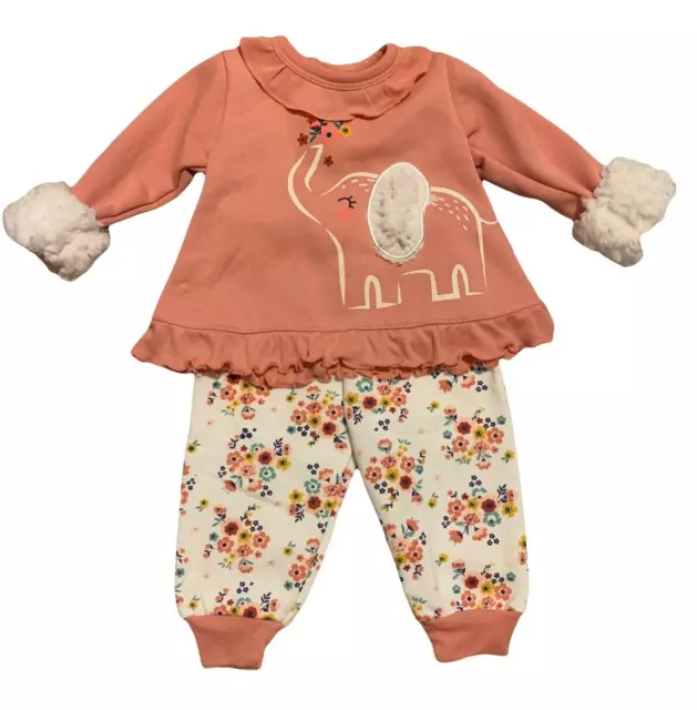 Infant Baby Girl  Fall Winter Outfit (New) Size 0-3 months