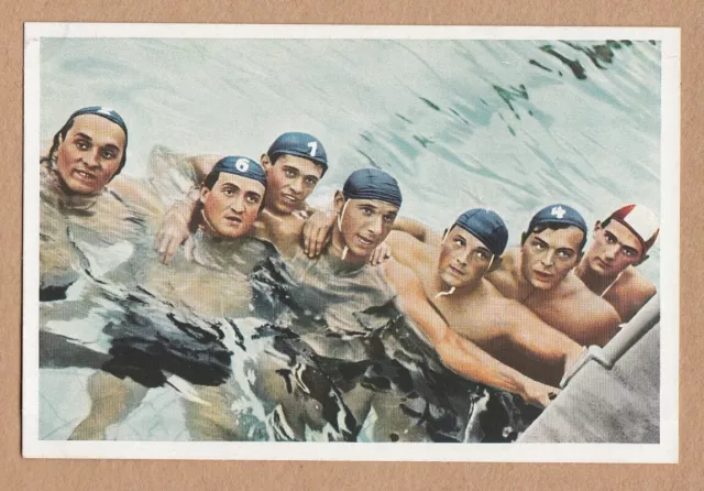 Muhlen Franck Olympia 1936 Serie 24 #2 Hungary team, water polo