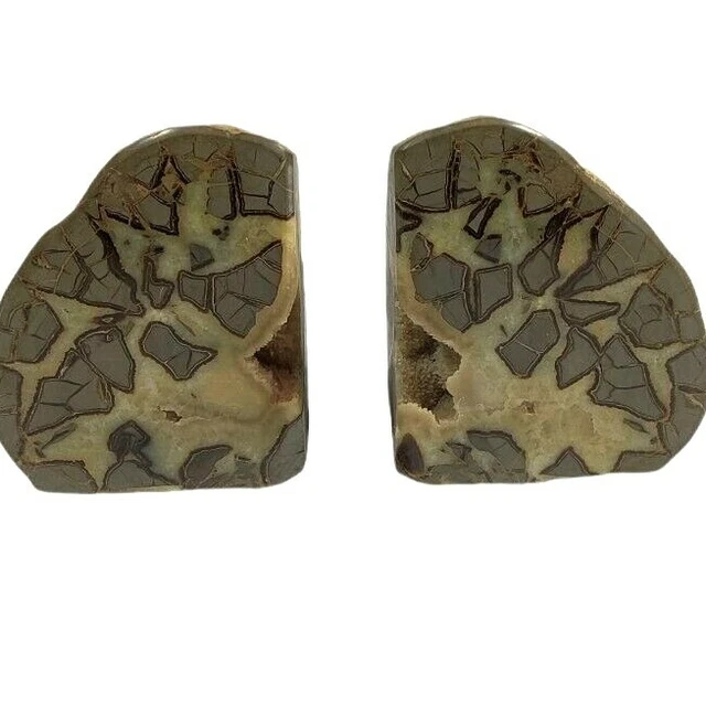 Septarian Nodule Bookends Set Display Polished Mineral Crystal Rock Geode Huge