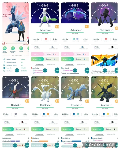 Compte Pokémon GO - IV22 | Shiny Garchomp, Mewtwo, Zekrom, Etc. - Multi-plateformes