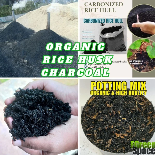 ORGANIC RICE HUSK Charcoal Natural Fertilizer Carbonized rice hull