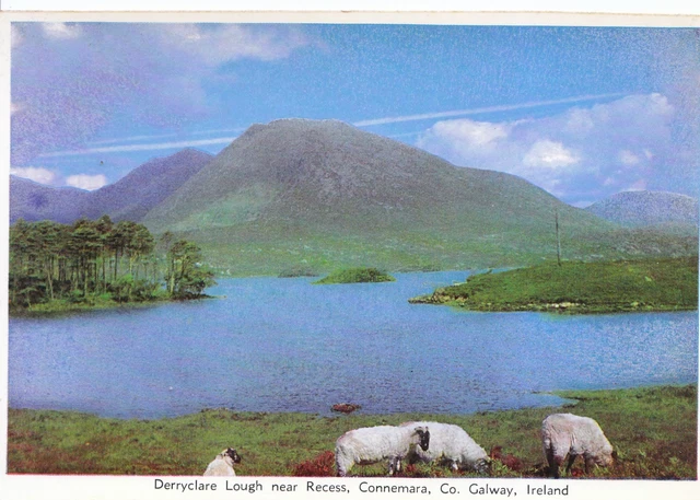 Ireland Postcard - Derryclare Lough near Recess - Connemara - Co. Galway  LSL841