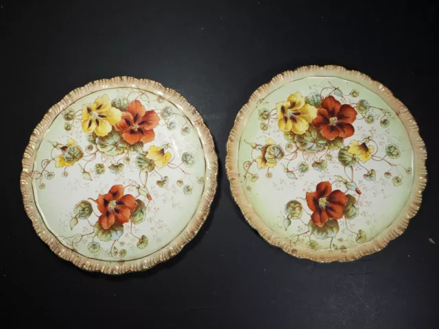 Wonderful Pair of Antique ? Victorian? Floral Wall Plate Chargers 26cm