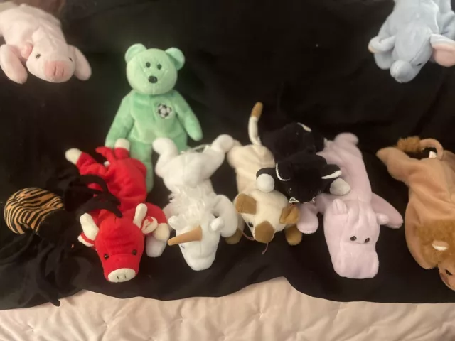 Ty beanie babies Variety To Choose From Extremely Rare And Retired