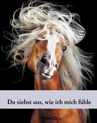 Die Zeit, Du siehst aus, wie ich mich fühle | Buch | 9783426214824