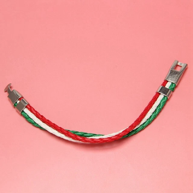 5X Jewelry Bracelet, Italian Flag Bangle, Leather Alloy, for Men's Women, G Y7X3