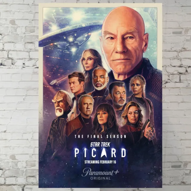 Star Trek Picard movie poster Patrick Stewart 11x17" Wall Art Gift