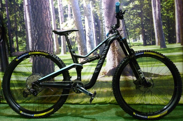 Canyon spectral al 4.0 sale