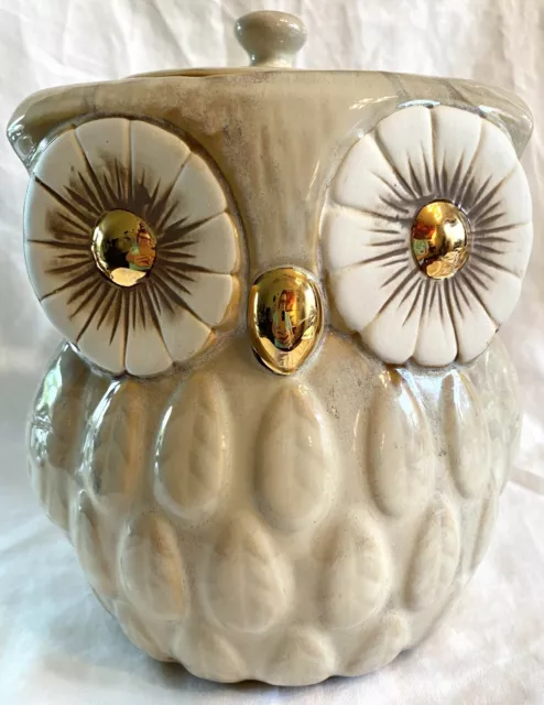 https://www.picclickimg.com/CmMAAOSwgvFk0Tt4/3-D-Owl-Cookie-Jar-Air-Tight-Lid-Ceramic.webp