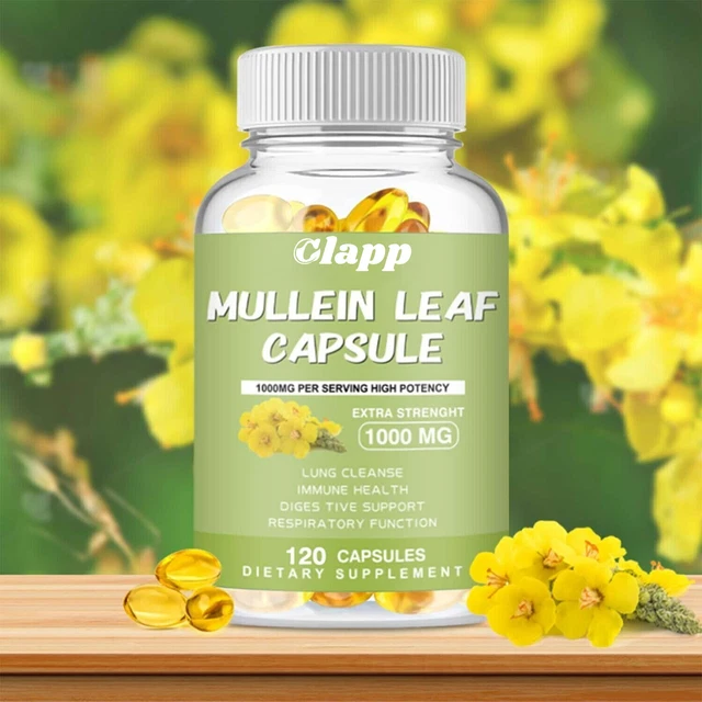 Complément Alimentaire Molène 1000 Mg - Nettoyage Pulmonaire & Désintoxication - 30/60/120 Capsules