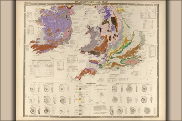 Poster, Many Sizes; Paleontological Map Of The S British Islands 1848