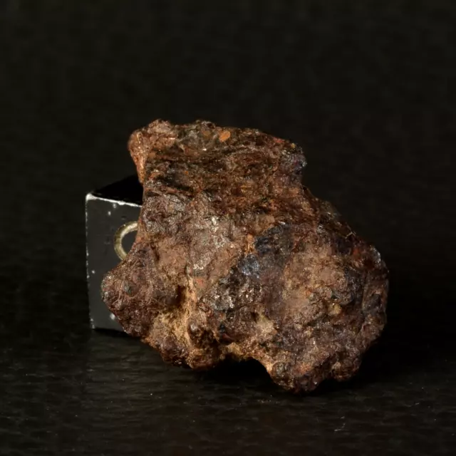 Meteorite Nwa 15738 Da 6,95 G Nel il Suo Scatola Pallasite Singola #C46.4-29