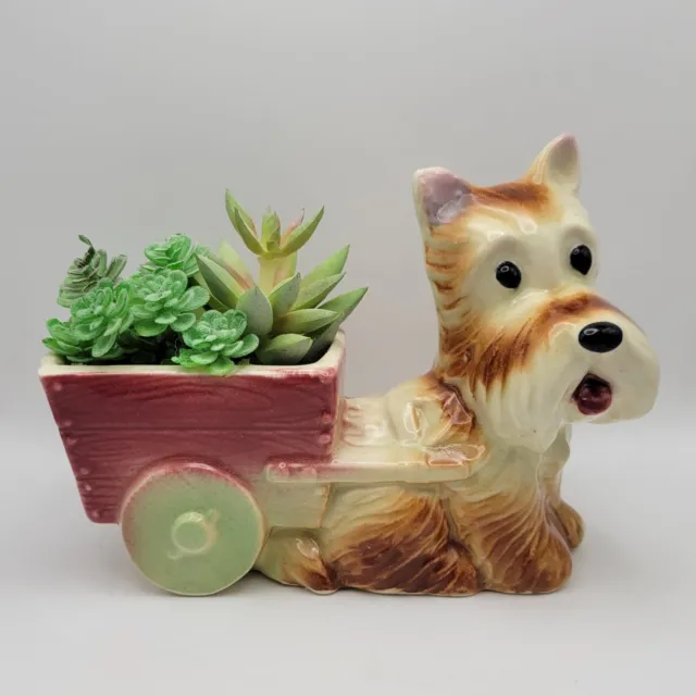 Vintage Scottie Terrier Dog Pulling Cart Planter with artificial succulents