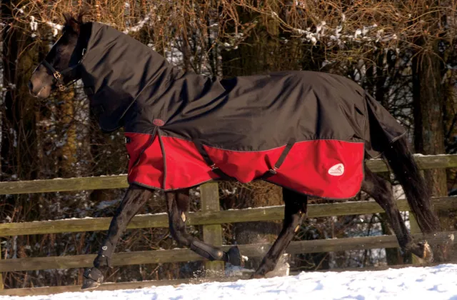 Masta Turnoutmasta 200g Full Neck 600 Denier Winter Mediumweight Turnout Rug