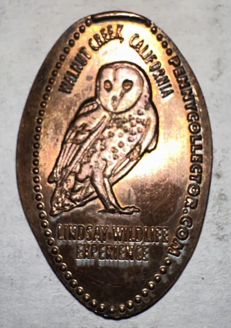Walnut Creek California Lindsay Wildlife Experience Owl Elongated Coin 1C Penny