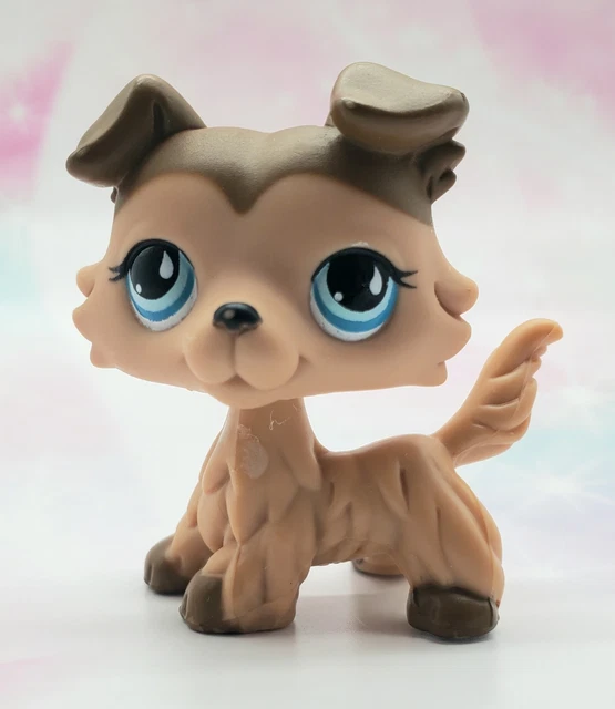 Littlest Pet Shop LPS #893 – Chien Colley Authentique – Hasbro – 102