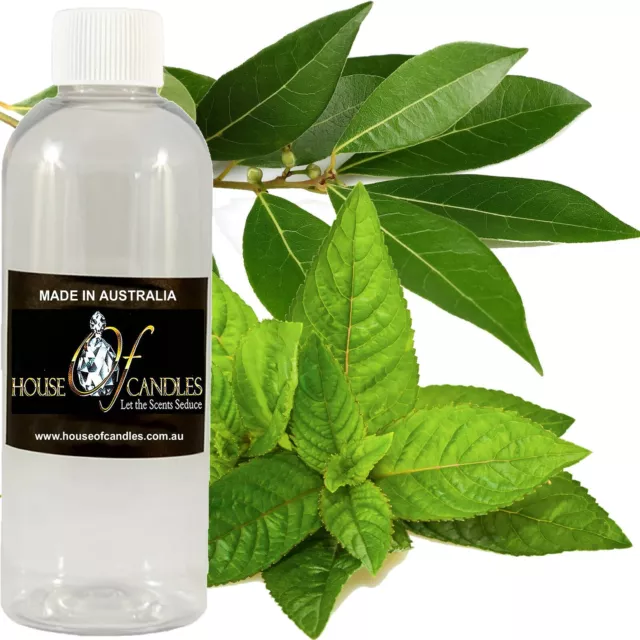 Eucalyptus & Spearmint Fragrance Oil Candle Soap Making Perfume Bath Body Slime