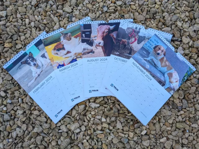 TOLFA Animal Charity 2024 Calendar - Our Shelter Animals 3