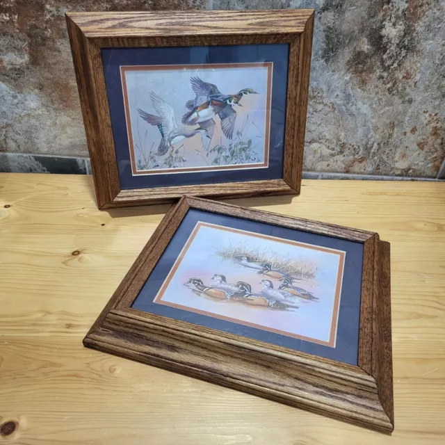 VTG Wooden Framed Mallard Duck Print Swimming Flying Water Fowl Set of 2