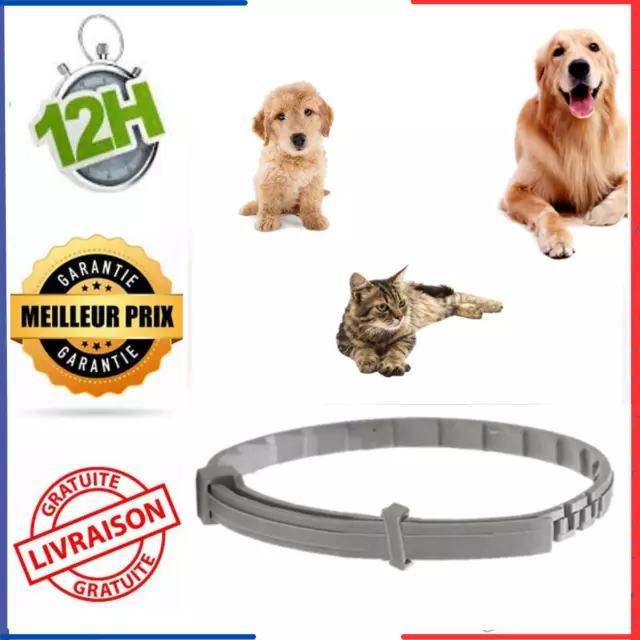 Collier Anti-insectes-puces et tiques protection 8 mois pour Chiens ou Chats