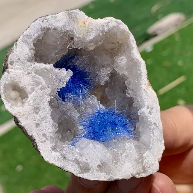 93G Rare Moroccan blue magnesite and quartz crystal coexisting specimen
