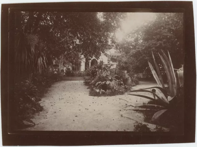 Palais de Monserrate, Sintra. Cintra. Portugal. Tirage citrate circa 1900.