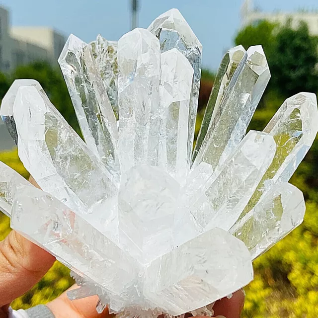 480g New Find white Phantom Quartz Crystal Cluster Mineral Specimen Healing 4