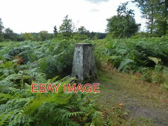 Photo  Trig Point Near Crabtree Hill Forest Of Dean