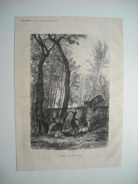 Gravure 1873. Un Intrus. Par M. Karl Bodmer.