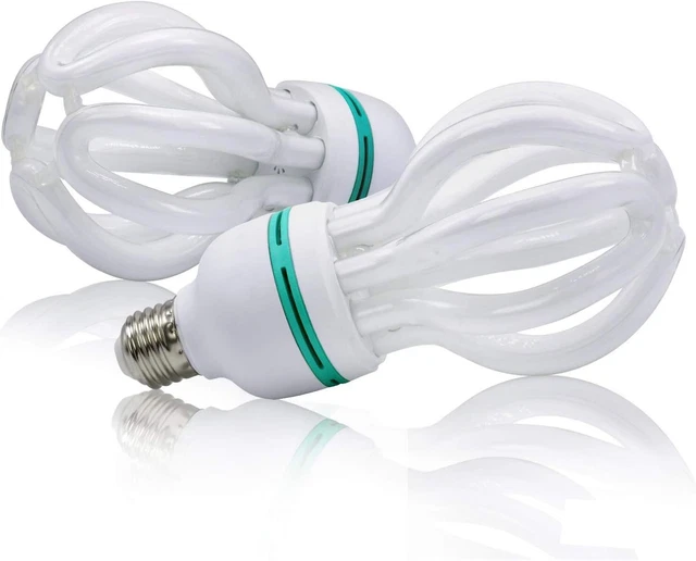 Video, Photo Studio Lighting Bulbs 2 pcs set, 50W, 5500Kelvin Temperature