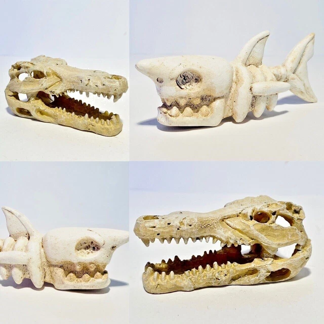 Small Shark Bones | Mini Crocodile Skull Aquarium Skeleton Fish Tank Ornament