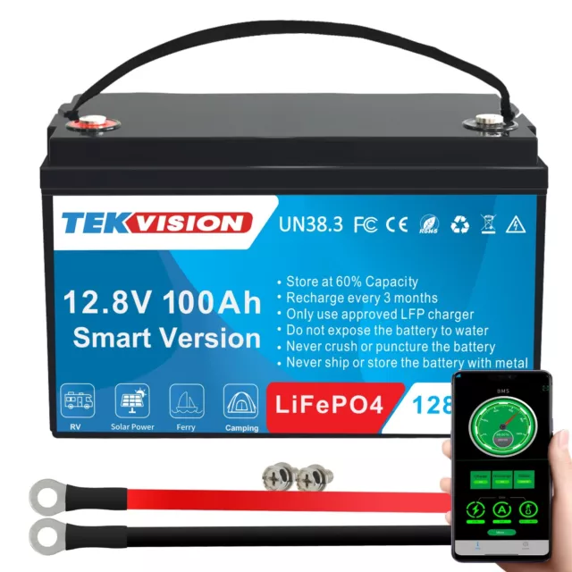 TEKVISION LITHIUM LIFEPO4 akku 24V 100Ah Batterie 0%MwSt. EUR 499