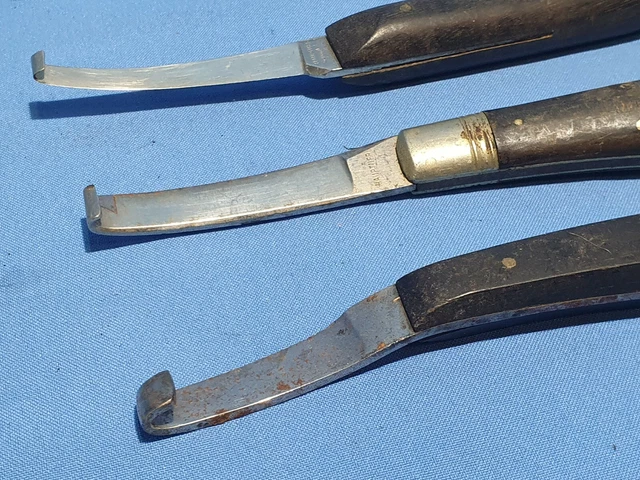 3x alte Handinstrumente Hauptner - u.a Veterinärmedizinisches Instrumente 2