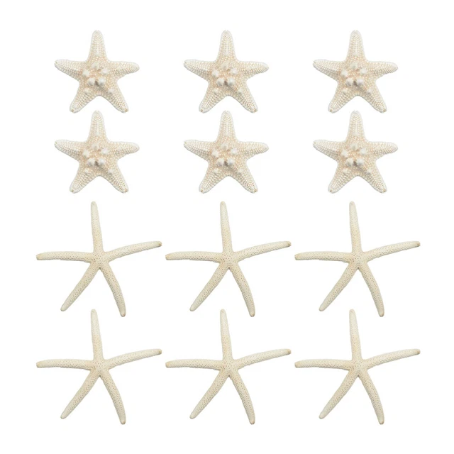 12 piezas hágalo usted mismo y artesanía Knorrig estrella de mar decoración niños mini juguete Astig