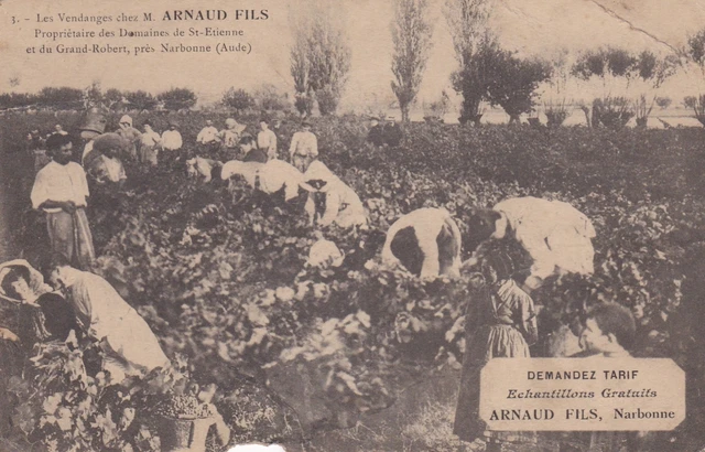 CPA 11 Les Vendanges chez M ARNAUD Fils Propriétaire des Domaines de St Etienne