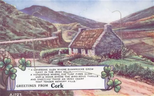 55119971 - Cork Cork (Irland) Leporello Cottage, Klee II (kleiner Einriss bei
